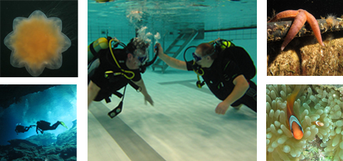 Prova på dyk – måndag 6 och 13 november